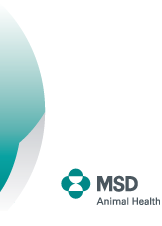 MSD Animal Health